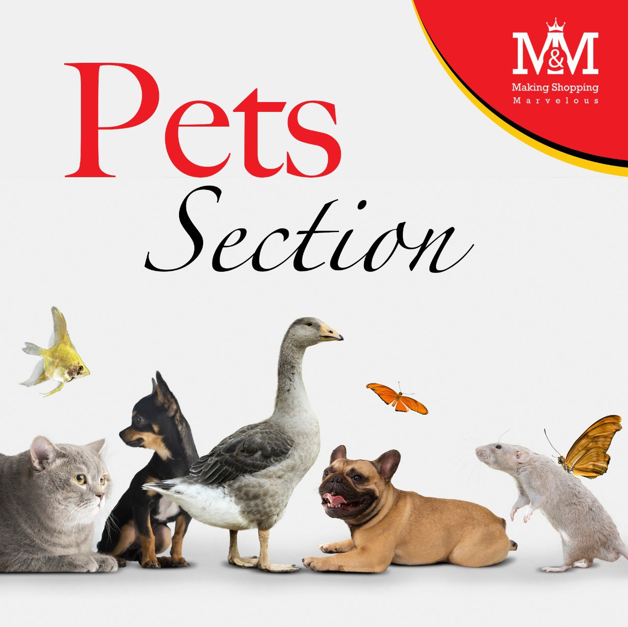 قسم الحيوانات الأليفة